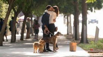 "Dog Days" Has a Few Endearing Slurpy Laughs, but lots of Snuggles, Tail Wagging and Happy Faces "Dog Days" Has a Few Endearing Slurpy Laughs, but lots of Snuggles, Tail Wagging and Happy Faces